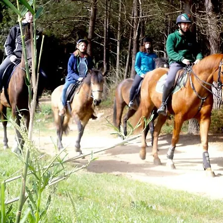 Hostel The Maverick Surfvillas